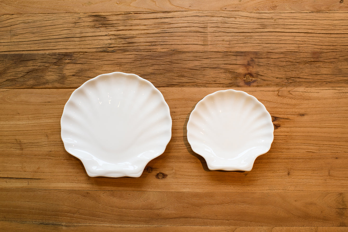 Sirenuse Shell Dinner Plate Set of 6