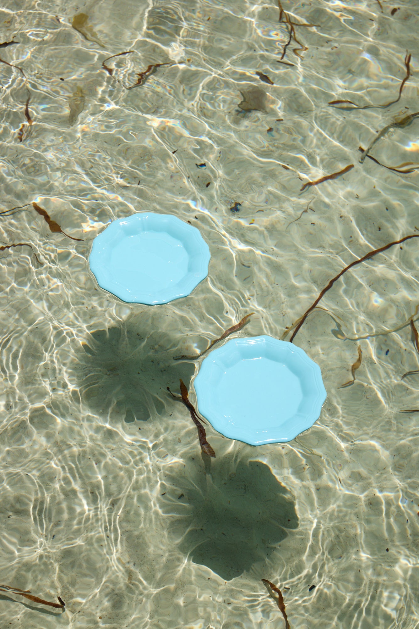 Stingray Dinner Plates Set of 6