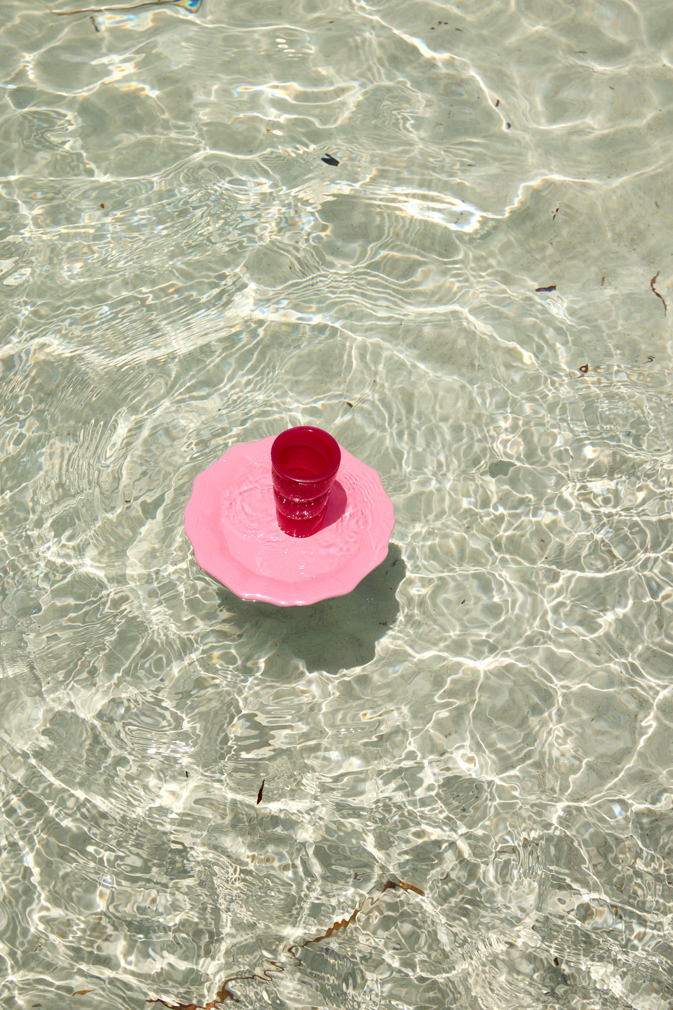 Stingray Dinner Plates Set of 6