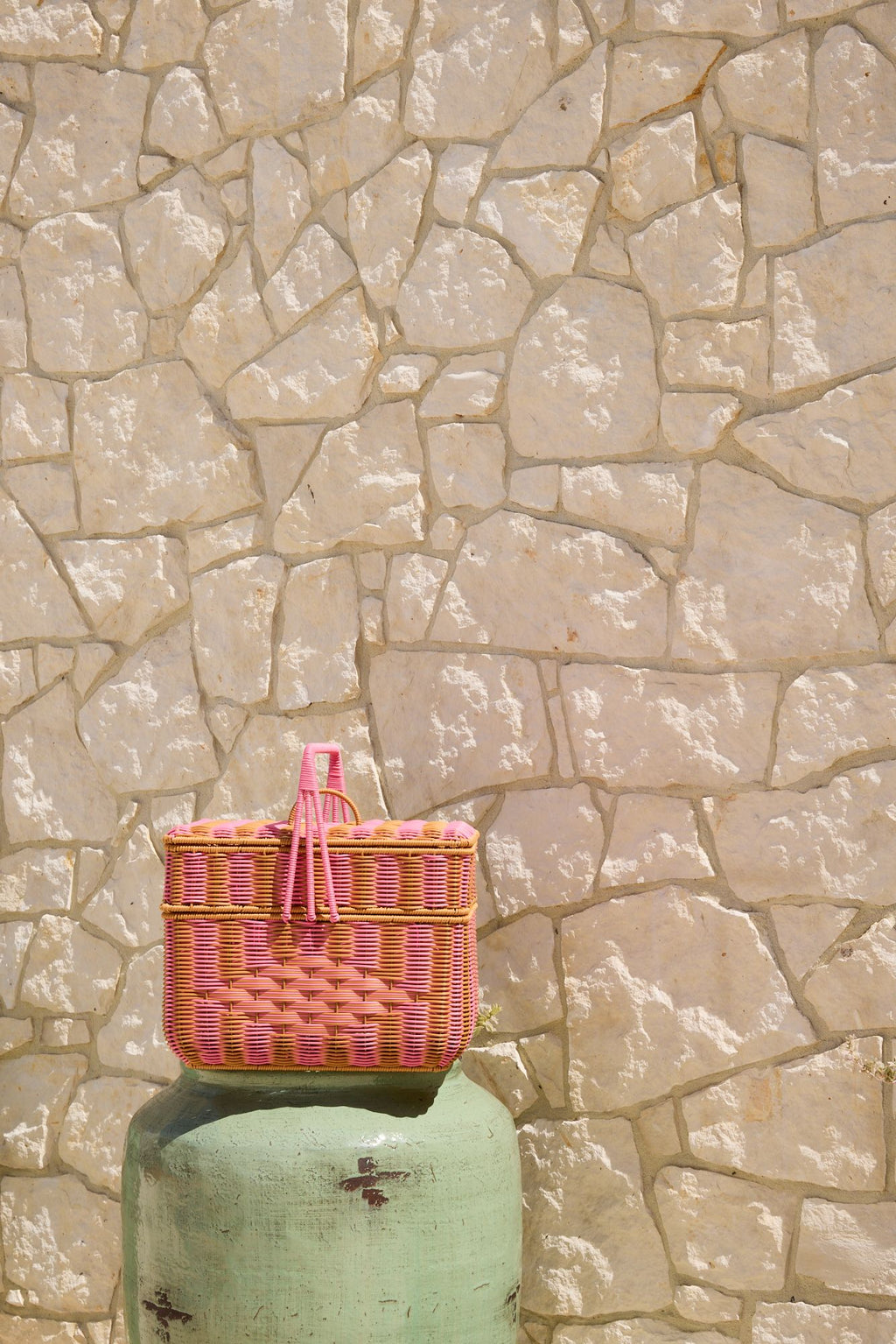 Parakeet Picnic Bundle