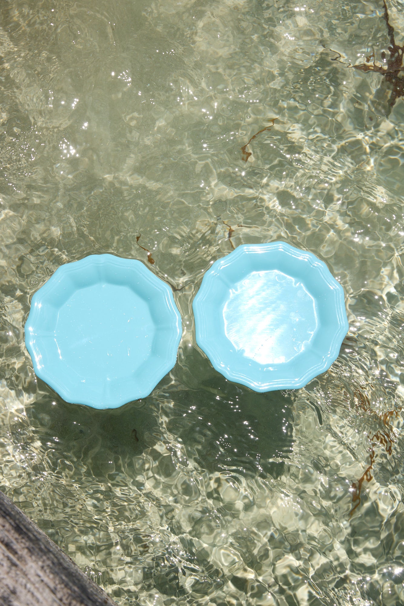 Stingray Dinner Plates Set of 6