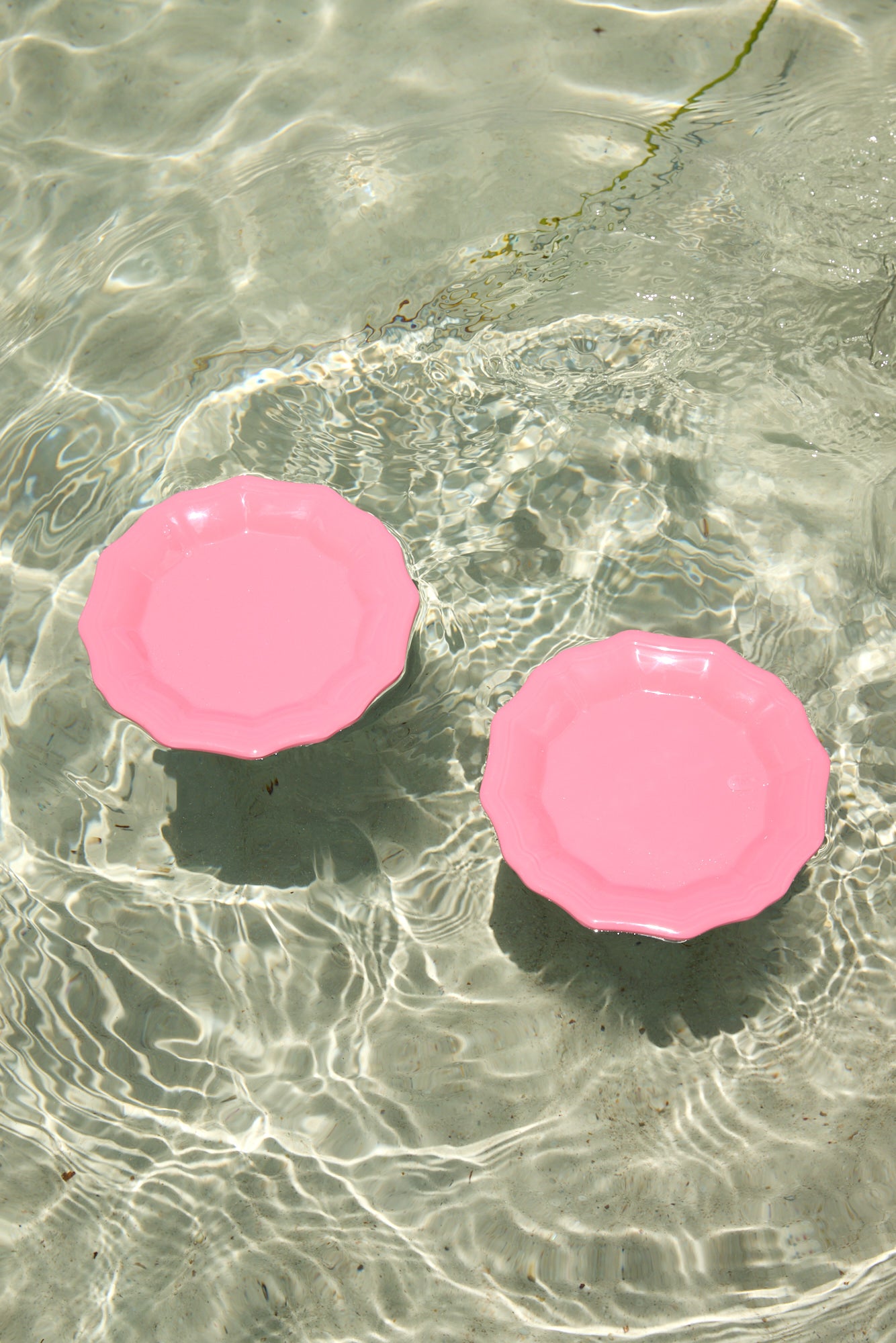 Stingray Dinner Plates Set of 6