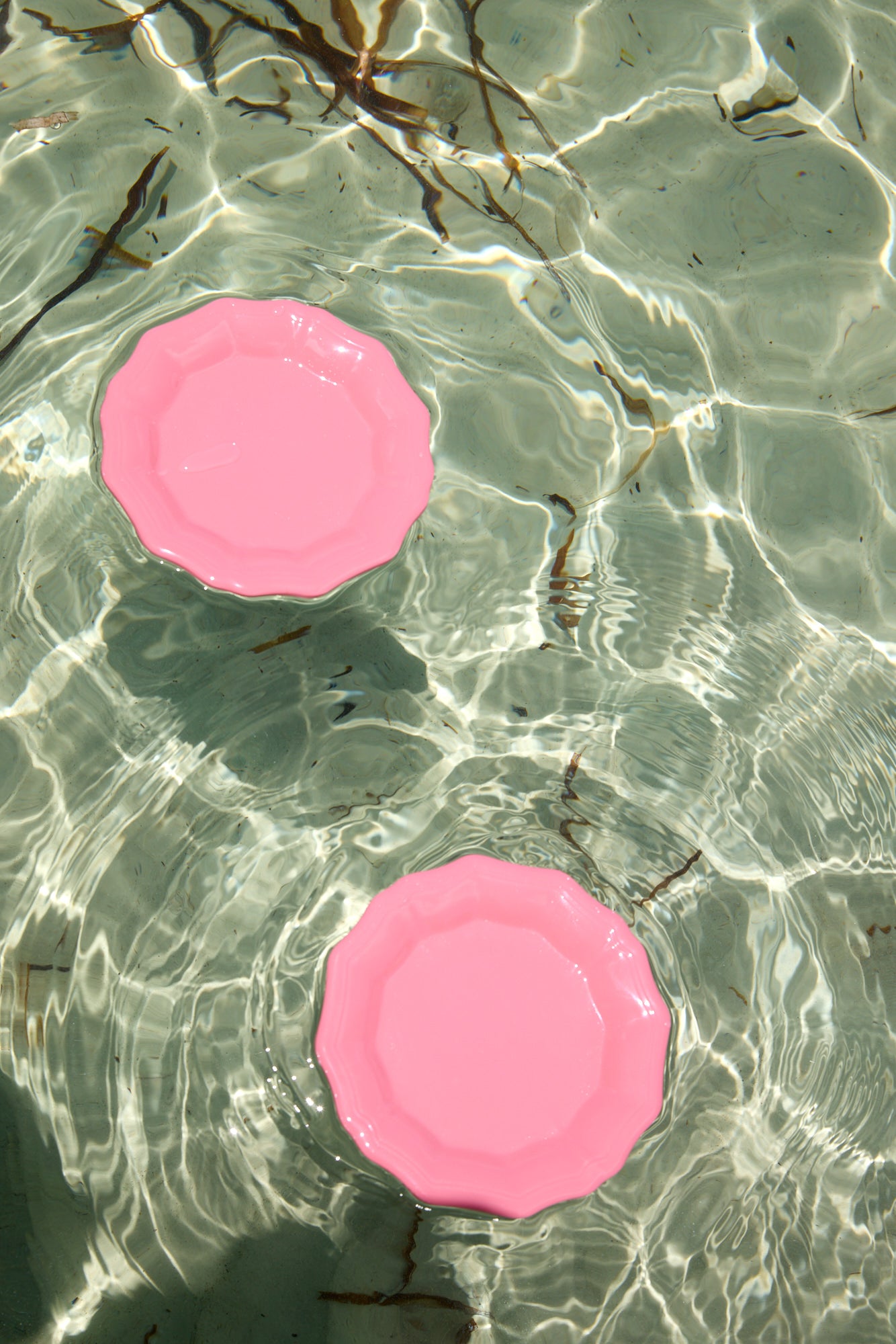 Stingray Dinner Plates Set of 6