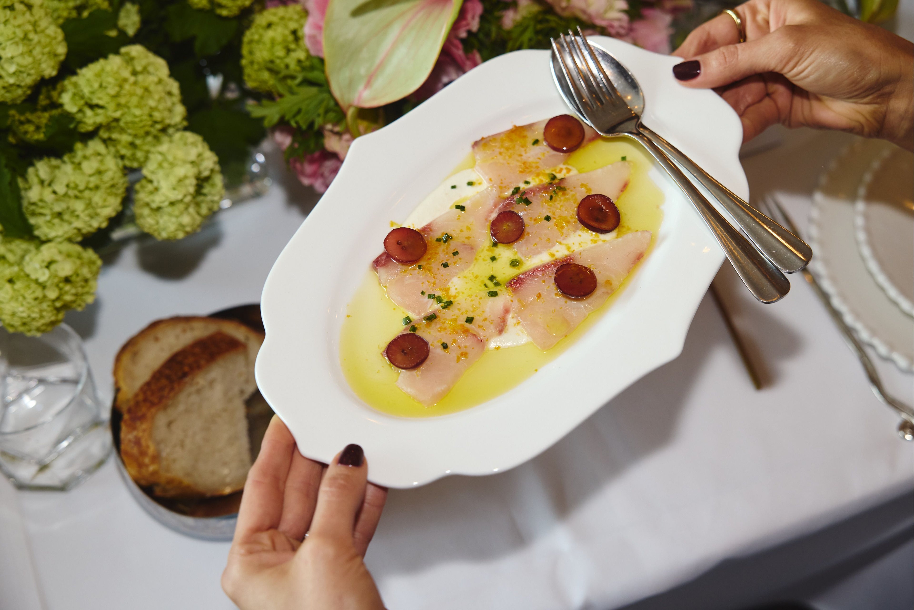 Ultimate Host Visconti Bundle