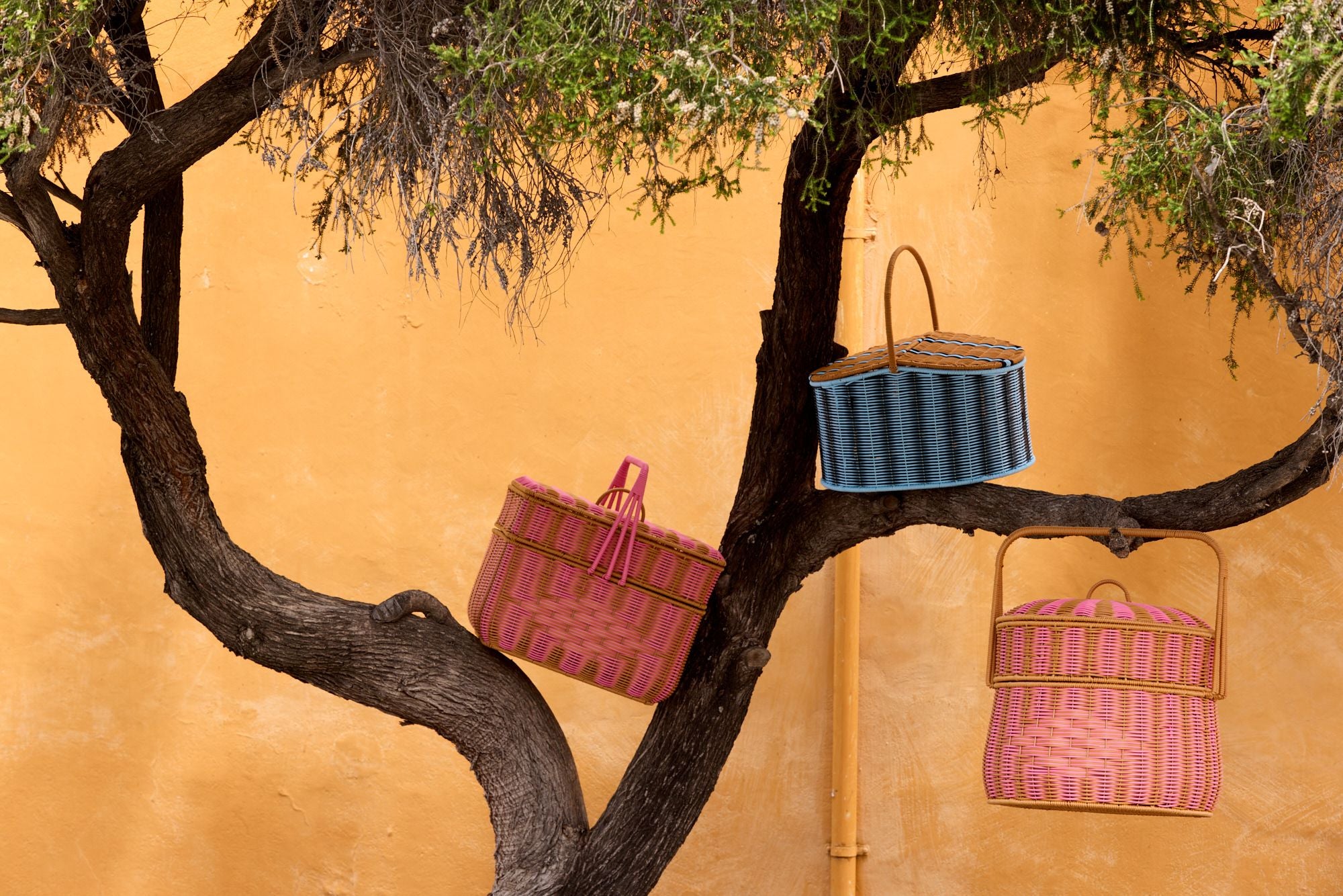 Parakeet Pink Square Basket