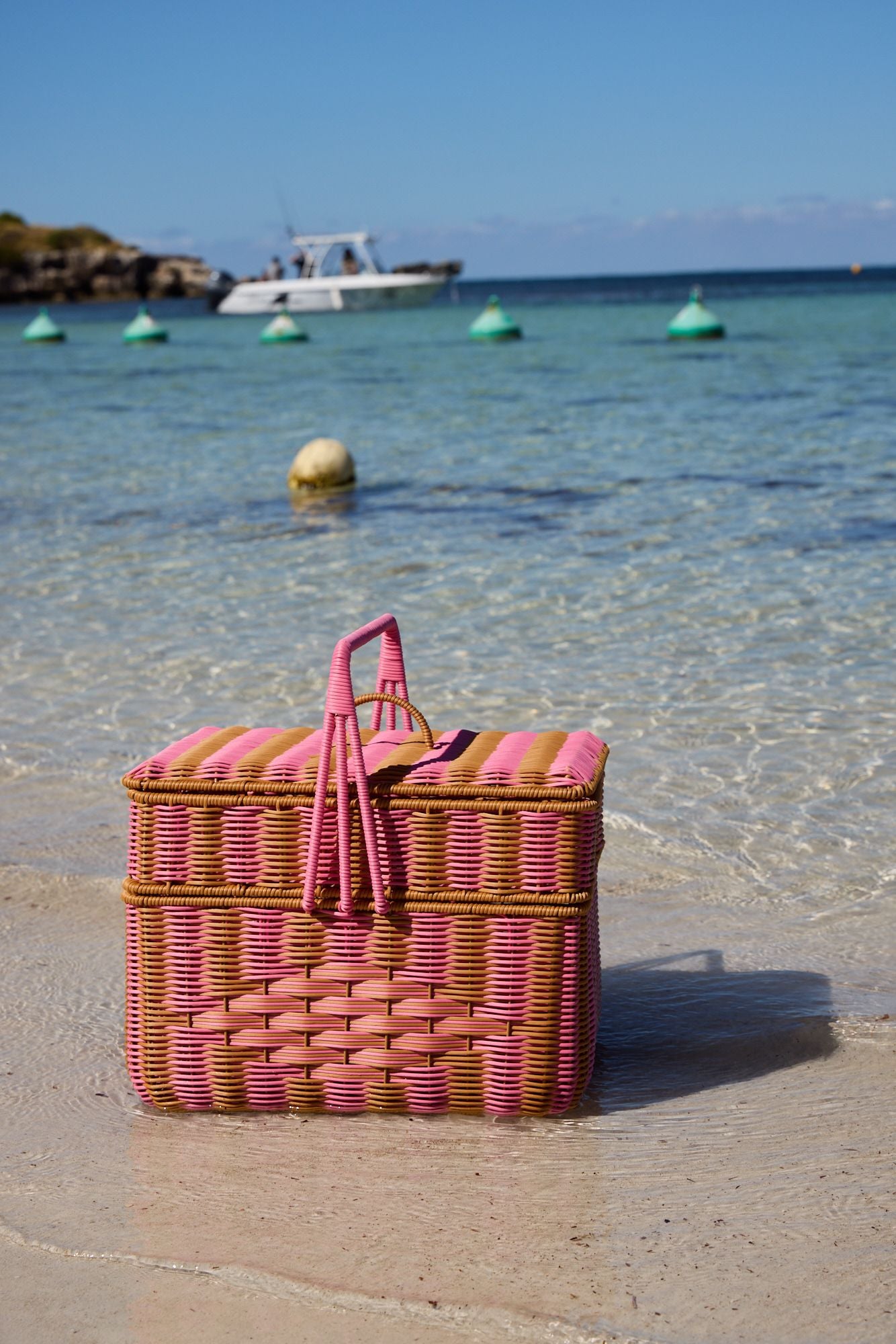 Parakeet Picnic Bundle