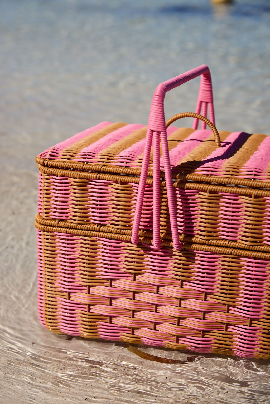 Parakeet Picnic Bundle